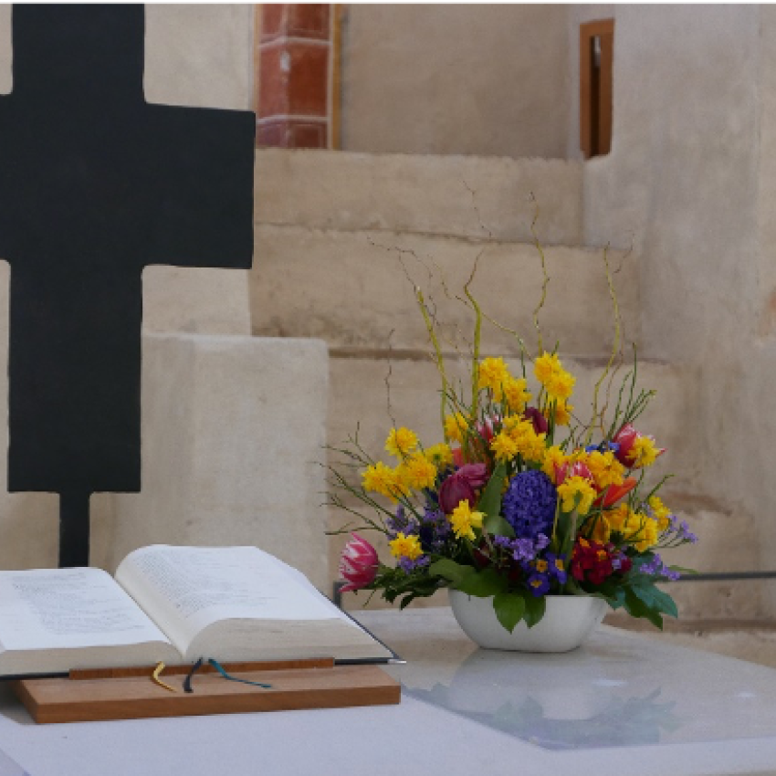 Flower Wird Verrückt Sobald Sie Einen Hahn Bekommt Flower Wird Verrückt Sobald Sie Einen Hahn Bekommt
